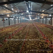 Equipo automático de granja de aves de corral para la producción de pollos de engorde